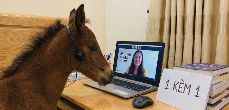 Học Tiếng Anh Cùng Ngọ: Bí Quyết Giúp Con Tự Tin Giao Tiếp & Sẵn Sàng Vi Vu Du Lịch Khắp Thế Giới