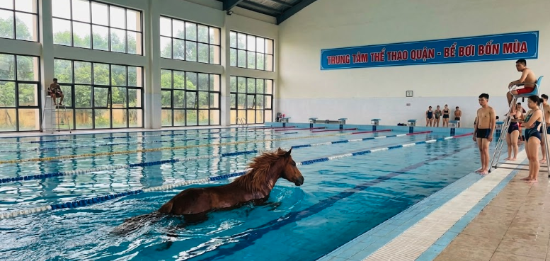 Ngọ đi bơi ở trung tâm thể thao ở bể bơi 4 mùa